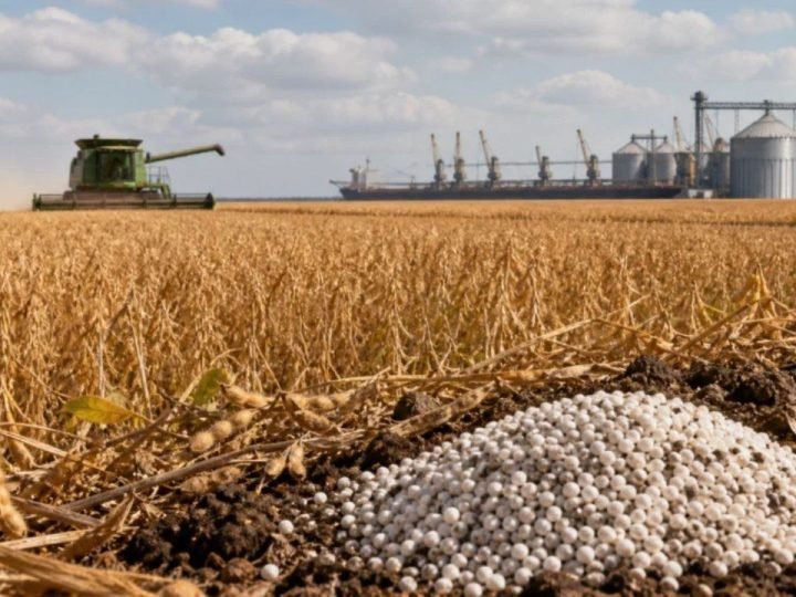 Brasil amplia espaço no mercado de alimentos, mas custos pressionam produtor