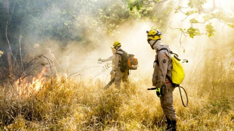 Goiás amplia ações para proteger o Cerrado com tecnologia e participação comunitária