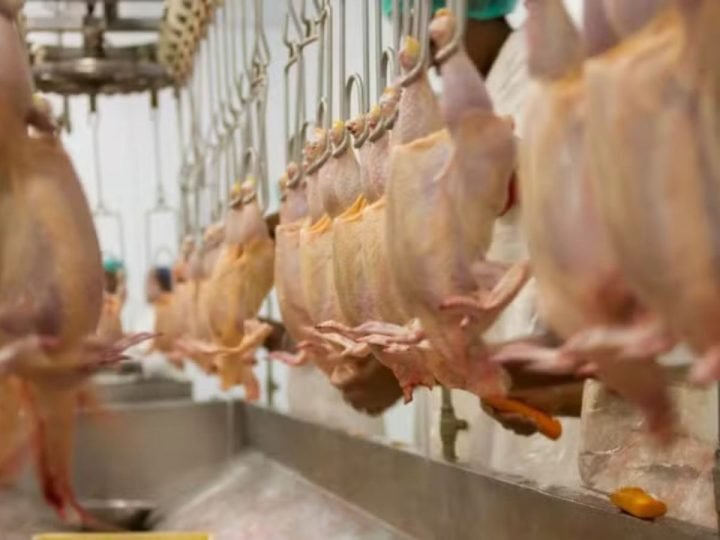 União Europeia considera satisfatórios controles brasileiros para exportação de aves e mel