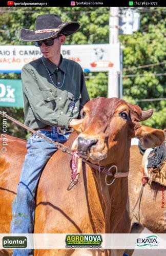 1-Pn7-COD-151 (1) (1)