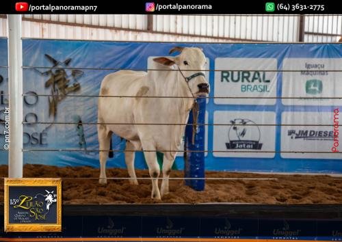 15-Leilao-Sao-Jose-173