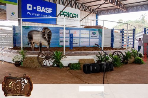 17oLeilao-Sao-Jose-B-263