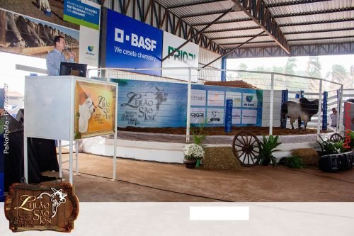 17oLeilao-Sao-Jose-B-267