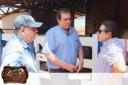 17oLeilao-Sao-Jose-B-3