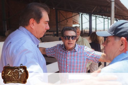 17oLeilao-Sao-Jose-B-4