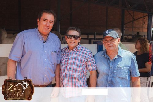 17oLeilao-Sao-Jose-B-6