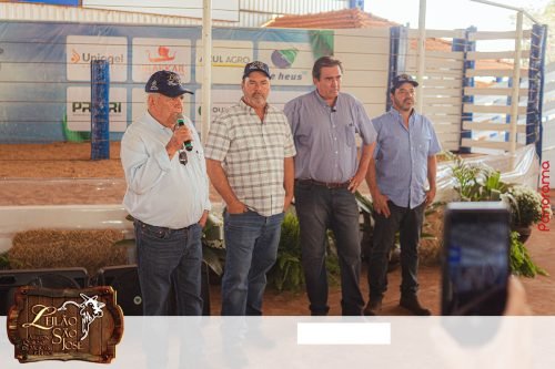 17oLeilao-Sao-Jose-B-64