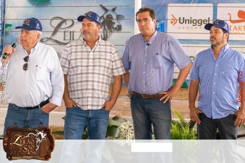 17oLeilao-Sao-Jose-B-71