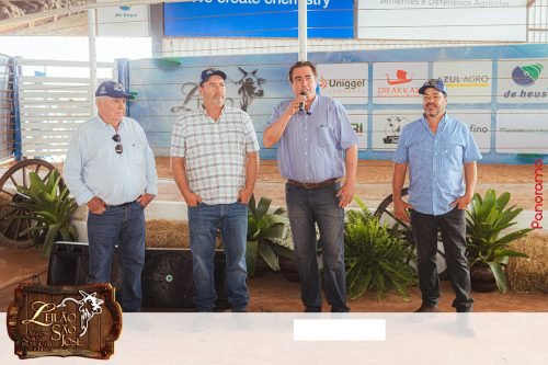 17oLeilao-Sao-Jose-B-77