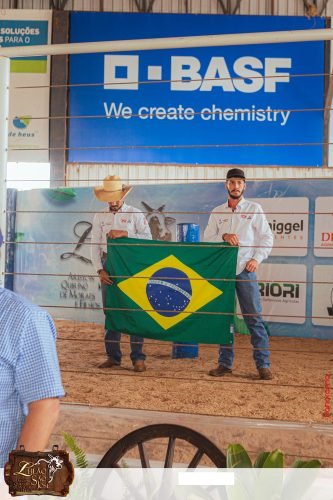 17oLeilao-Sao-Jose-B-85