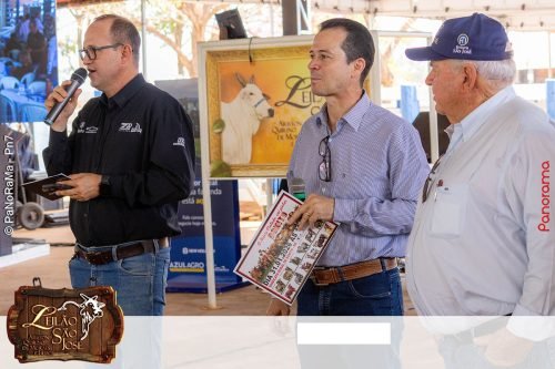 17oLeilao-Sao-Jose-B-92