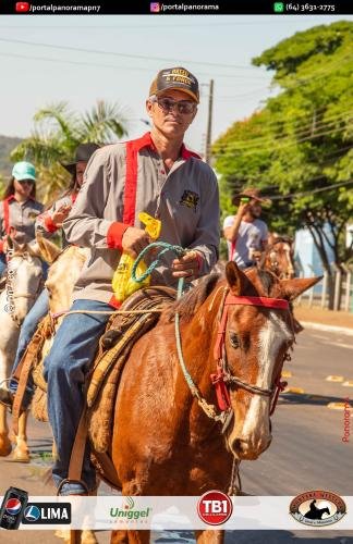 2-Pn7-COD-250 (1) (1)