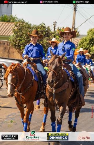 2-Pn7-COD-290 (1) (1)