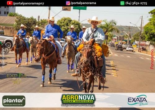 2-Pn7-COD-294 (1) (1)