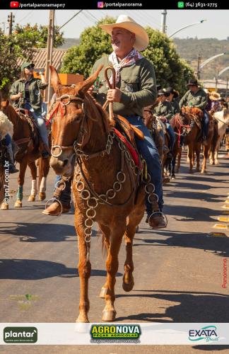 2-Pn7-COD-312 (1) (1)