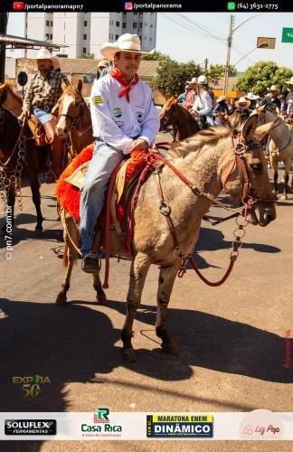 2-Pn7-COD-335 (1) (1)