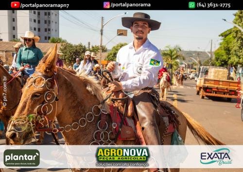 2-Pn7-COD-337 (1) (1)