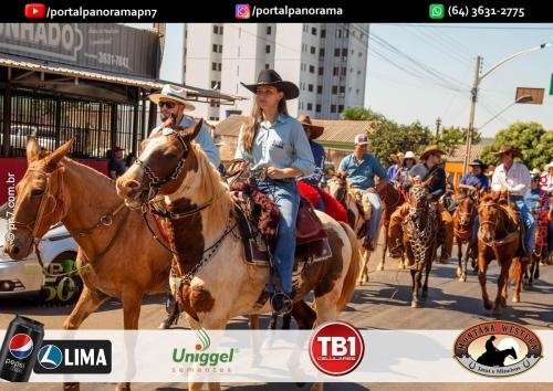 2-Pn7-COD-343 (1) (1)