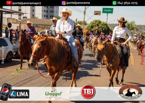 2-Pn7-COD-347 (1) (1)