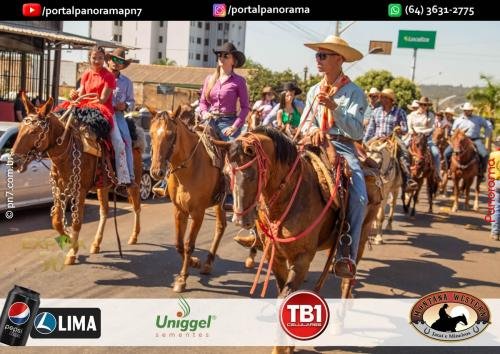 2-Pn7-COD-376 (1) (1)