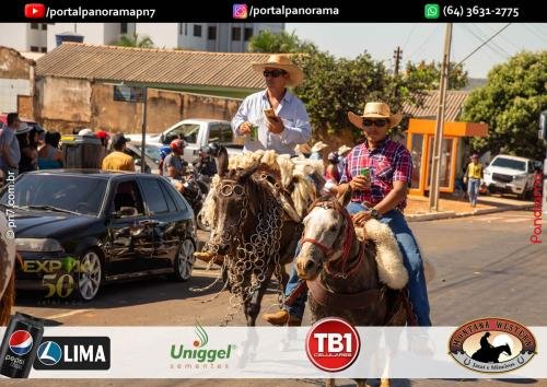 2-Pn7-COD-415 (1) (1)