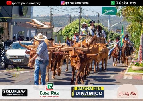 3-Pn7-COD-181 (1) (1)