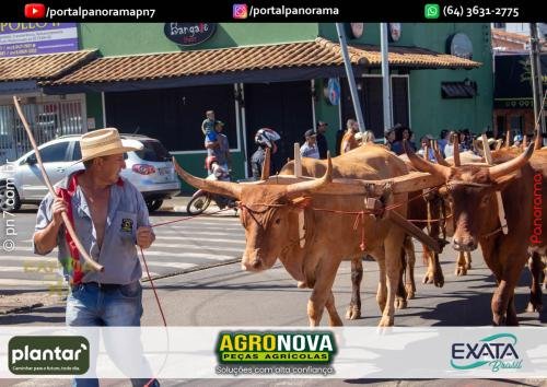 3-Pn7-COD-182 (1) (1)