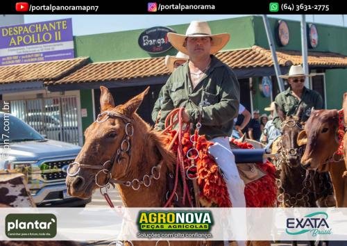 3-Pn7-COD-231 (1) (1)