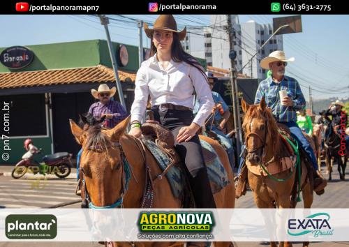 3-Pn7-COD-252 (1) (1)