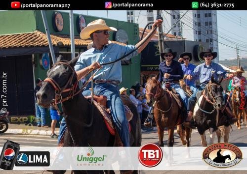 3-Pn7-COD-262 (1) (1)