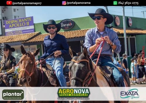 3-Pn7-COD-264 (1) (1)