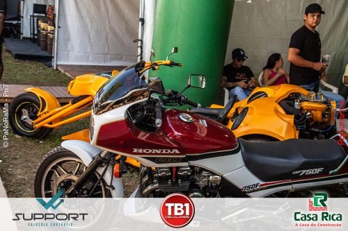 9o-Encontro-de-Carros-Antigos-de-Jatai-JACA-185