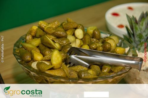 AgroCosta-Negocios-e-inaugurada-em-Jatai-169