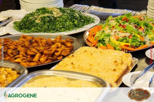 Campeira-2024-Pn7-117