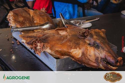 Campeira-2024-Pn7-197