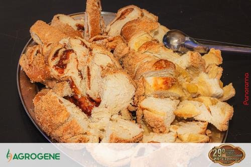 Campeira-2024-Pn7-199