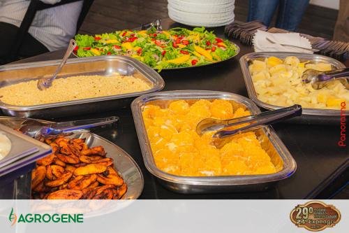 Campeira-2024-Pn7-202