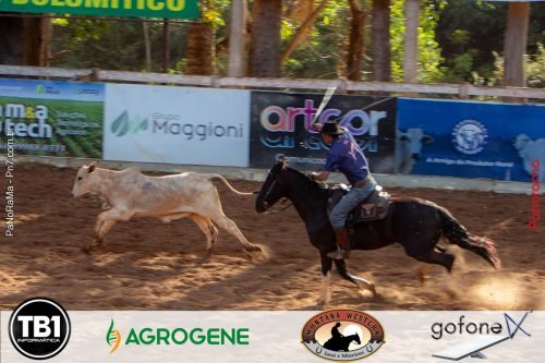 Campeira-2025-em-imagens-14