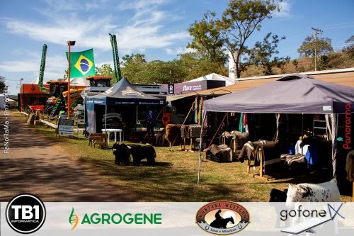 Campeira-2025-em-imagens-35