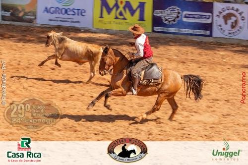 Campeira-Jatai-2024-100 (1)