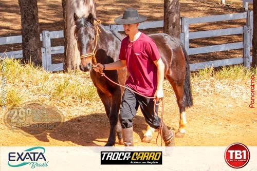 Campeira-Jatai-2024-74 (1)