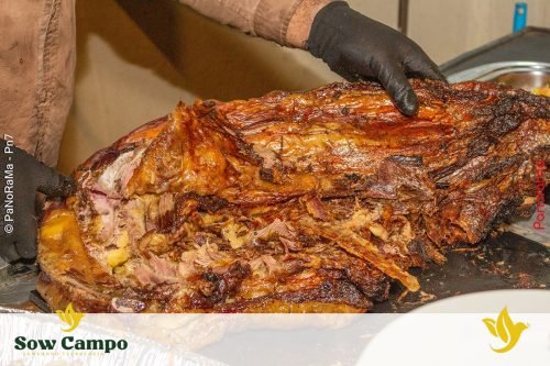 Churrascada-da-3a-Safra-Sow-Campo-em-Jatai-212