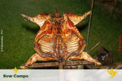 Churrascada-da-3a-Safra-Sow-Campo-em-Jatai-42