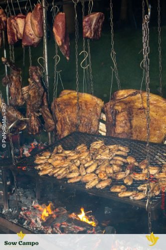 Churrascada-da-3a-Safra-Sow-Campo-em-Jatai-43