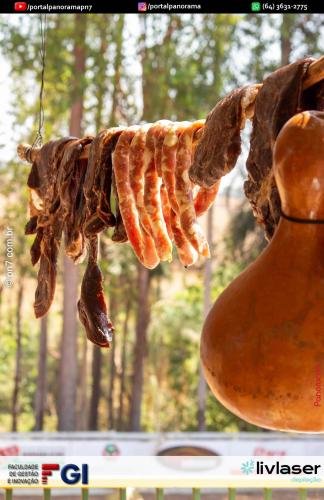 Cod-Pn7-19 (1) (1) (1) (1) (1)