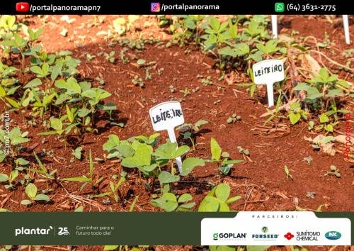 CodPn7-40 (1) (1) (1) (1) (1)