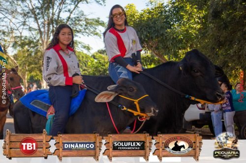 Desfile-de-Cavaleiros-Galeria-01-117