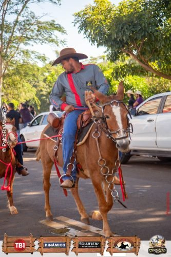 Desfile-de-Cavaleiros-Galeria-01-153