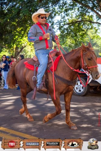 Desfile-de-Cavaleiros-Galeria-01-176