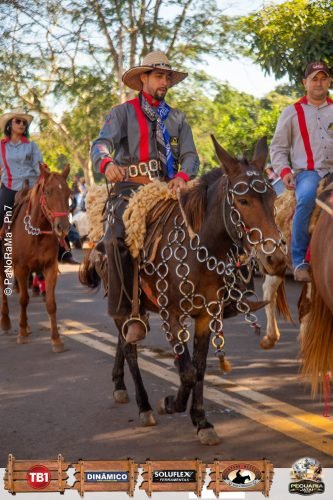 Desfile-de-Cavaleiros-Galeria-01-178
